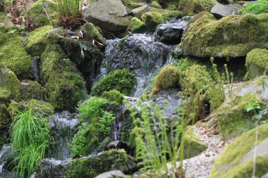 Çok güzel doğal bir arka plan olan küçük bir şelale.