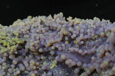 Üzüm agat dokusu çok güzel doğal bir arkaplan.