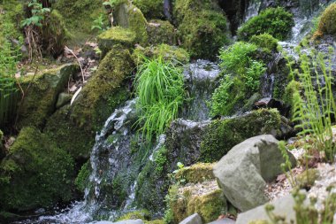 Çok güzel doğal bir arka plan olan küçük bir şelale.