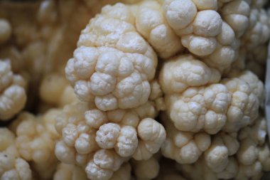 aragonit mineral doku çok güzel doğal arka plan olarak