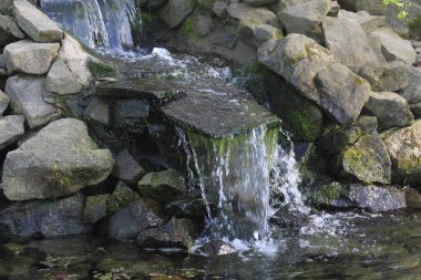 Çok güzel doğal bir arka plan olan küçük bir şelale.