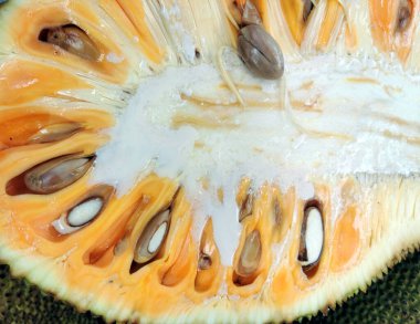 Egzotik gıda arka planı olarak bir parça Jackfruit dokusu