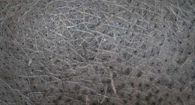 Doğal hipopotam deri dokusu güzel bir arkaplan.