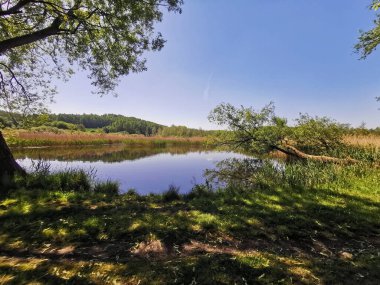 Yazın başında çok eski bir Czech Gölü