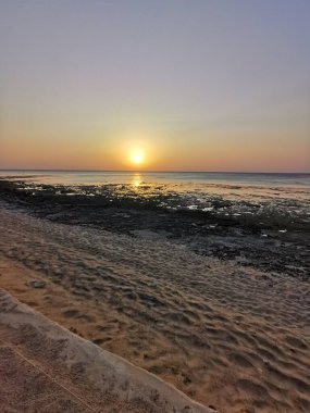 Mısır Sahili Kızıl Deniz Makadi Körfezi Sabah