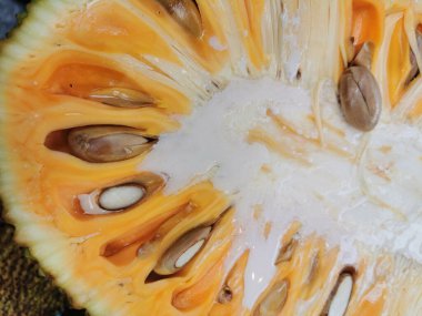 Egzotik gıda arka planı olarak bir parça Jackfruit dokusu