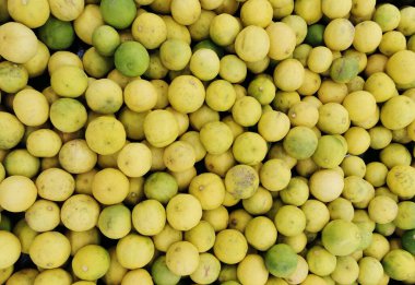 kireç dokusu çok güzel bir meyve arkaplanı.