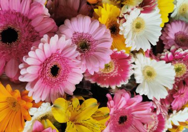 Gerbera çiçek dokusu çok güzel bir çiçek arkaplanı.