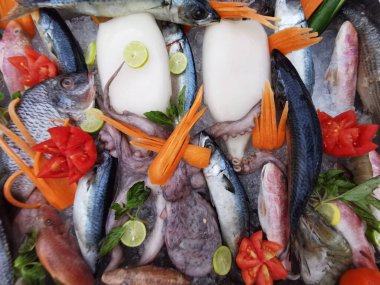 Balıklar ve balık pazarından gelen diğer hayvanlar.