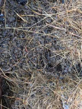 Doğal doku olarak taze tavşan gübresi arkaplanı