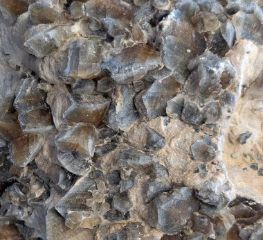 alçı mineral doku güzel doğal arka plan olarak