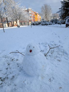 Parktaki kardan adam.