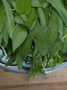 Vahşi sarımsak bitkisi gibi güzel doğal bir arka plan