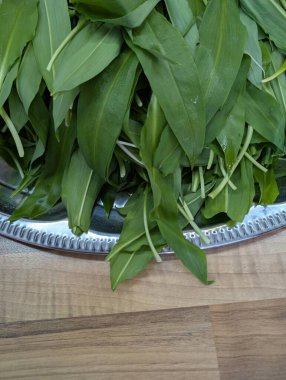 Vahşi sarımsak bitkisi gibi güzel doğal bir arka plan