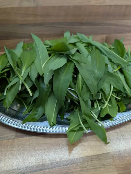 Vahşi sarımsak bitkisi gibi güzel doğal bir arka plan