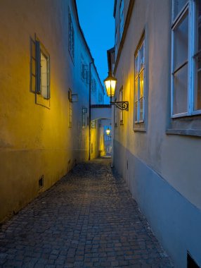 Prag Kalesi 'ndeki en büyük tarihi bina. 