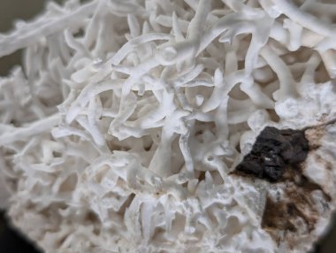 aragonit mineral doku çok güzel doğal arka plan olarak