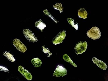 Siyah arkaplanda izole edilmiş molekül koleksiyonu minerali