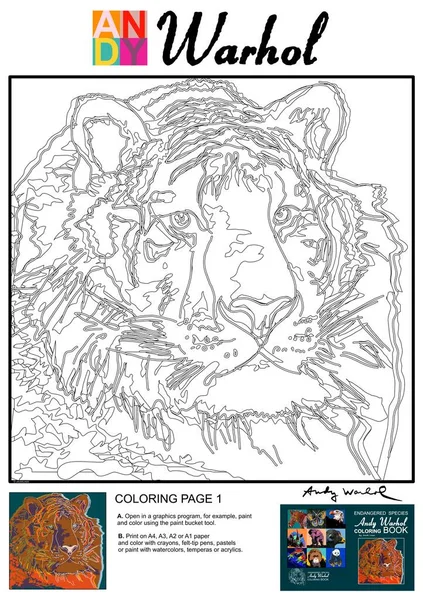 Syberyjski Tygrys Andy Warhol Kolorowanki — Zdjęcie stockowe