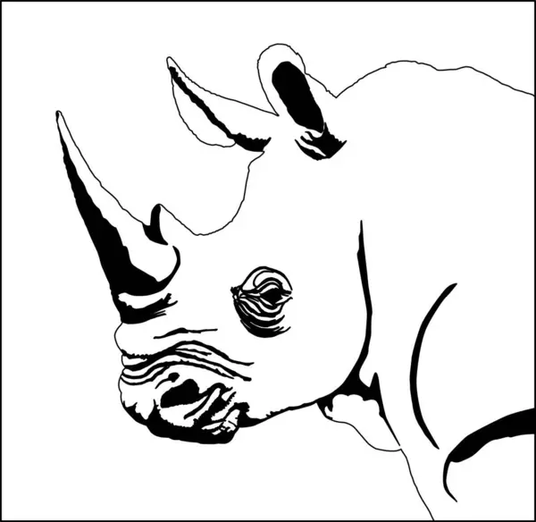 Obrázek Vektoru Kreslení Hlavy Nosorožce — Stockový vektor