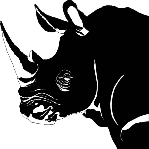 Rhinoceros Head Drawing Vector Illustration Eps — Stock Vector
