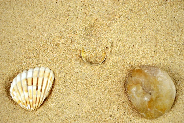 A close up of a lost ring felt in the sand at the beach near natural stone and seashell