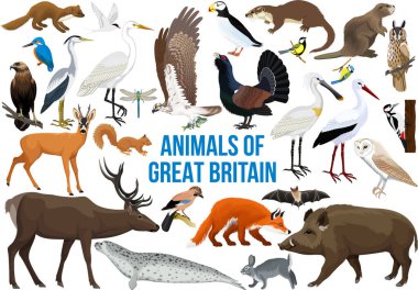 Büyük Britanya 'nın vektör hayvanları. Büyük Britanya 'nın farklı hayvan vektörleri.