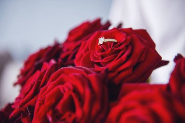 En iyi romantik seçim. Alyans güzel kırmızı gül