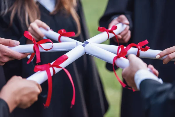 Cropped image of successful graduates in academic dresses holding diplomas while standing outdoors