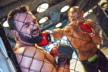 Boks eldivenleri ve şort iki adam kafese mücadele ediyoruz