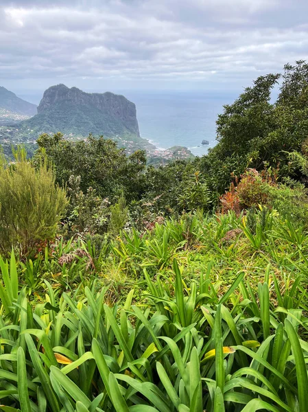 Ocean City View Madeira Island Porto Cruz Portugal — Stock Photo, Image