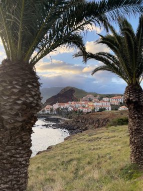 Küçük Madeira kasabasının arka planında palmiyeler olan sahili.