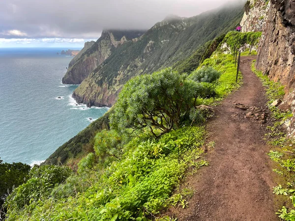 Путь Скалах Над Океаном Мадейра Португалия — стоковое фото