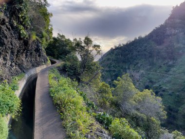 Portekiz, Madeira Adası 'nda levada boyunca harika bir yürüyüş parkuru.