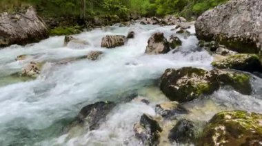 Taşların arasında bir dağ nehrinin akışı 4k