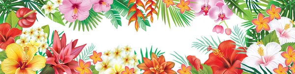 熱帯植物やエキゾチックな花や葉からのフレーム — ストックベクタ