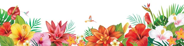 热带植物和异国情调的花和叶子制成的框架 — 图库矢量图片
