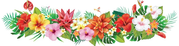 Arreglo Horizontal Flores Plantas Tropicales — Archivo Imágenes Vectoriales