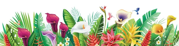 Горизонтальна Композиція Тропічних Квітів Рослин — стоковий вектор