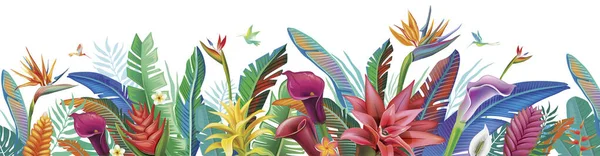 Горизонтальное Устройство Тропических Цветов Растений — стоковый вектор