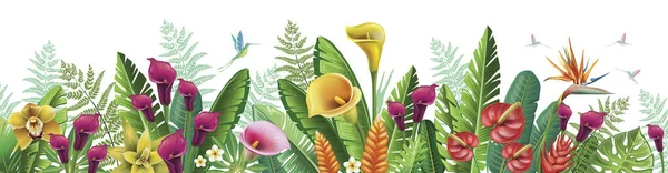 Horizontales Arrangement Mit Exotischen Tropischen Blumen Vögeln Und Pflanzen — Stockvektor