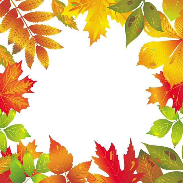 秋天的叶子的季节性矢量框架 — 图库矢量图片