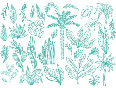 El çizimi tropikal yapraklar karalama tarzında