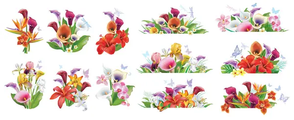 Set Arrangements Tropical Flowers — Stock Vector