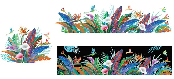 Tropische Dschungelpflanzen Blumen Und Kolibris Vektorillustration Vektorgrafiken