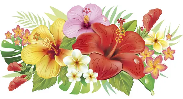 Arreglo Flores Hibisco Hojas — Archivo Imágenes Vectoriales