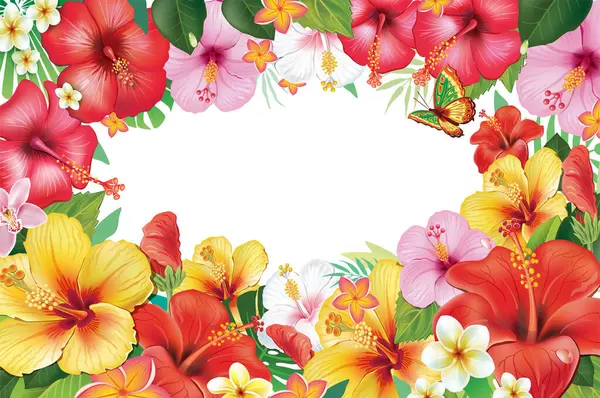 Rámeček Věnec Ibišku Květiny Tropické Listy Stock Ilustrace