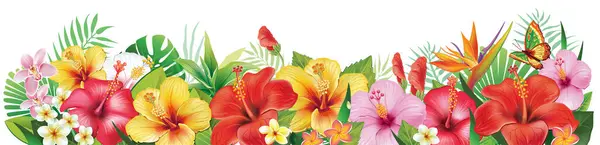 Grenze Zwischen Hibiskus Und Tropischen Blumen Und Tropischem Blatt — Stockvektor