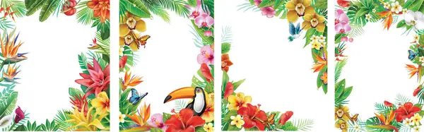 Ensemble Cadres Fleurs Tropicales Feuilles Tropicales — Image vectorielle