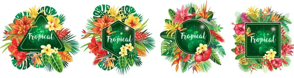 Set Cornici Fiori Tropicali Foglie — Vettoriale Stock